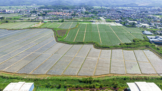 田地