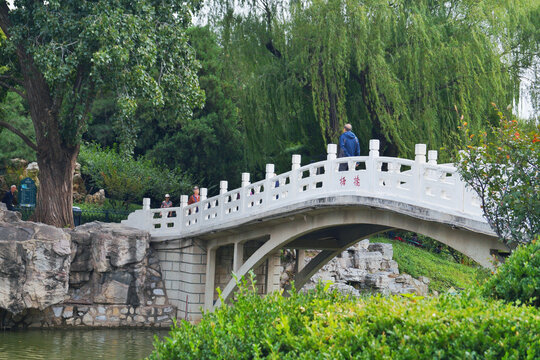 北京紫竹院公园湖景