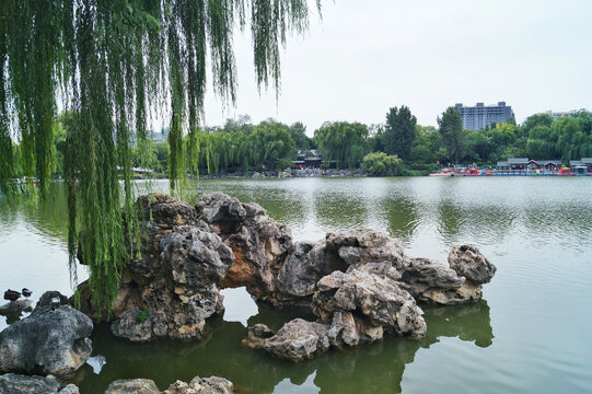 北京紫竹院湖景