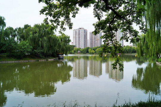 北京紫竹院湖景