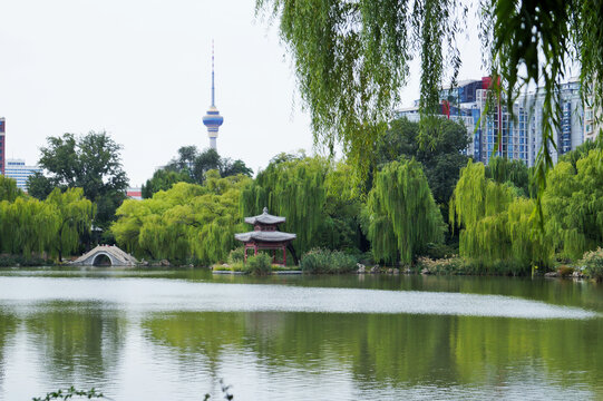 北京紫竹院湖景