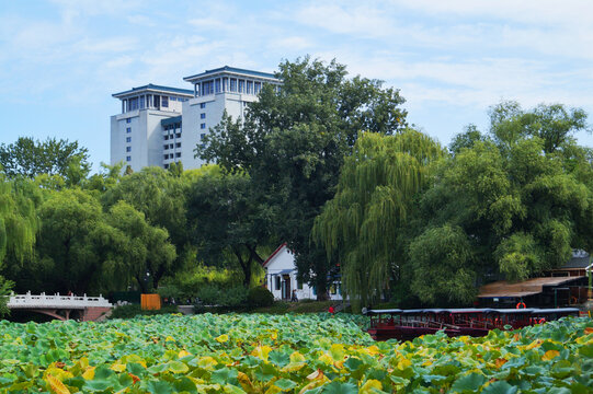 北京紫竹院风景