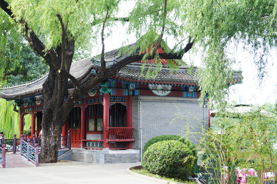 北京紫竹院风景