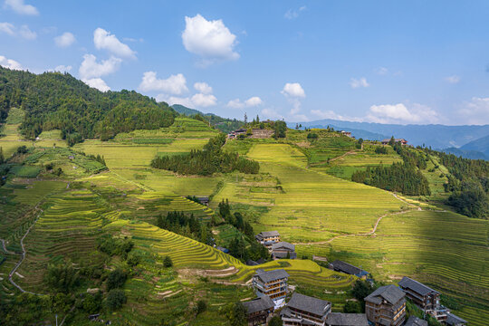 梯田