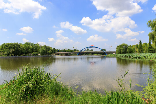 莒南县鸡龙河湿地公园