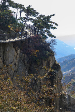 沂蒙山旅游区龟蒙景区