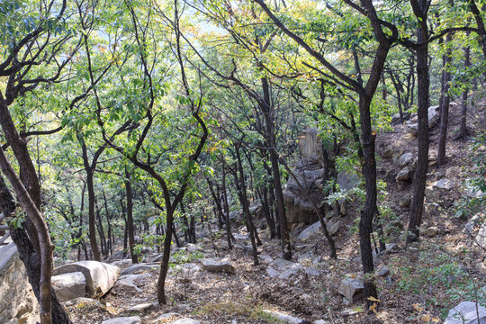 蒙山风光