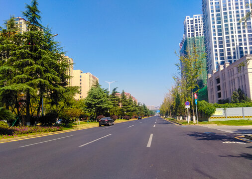 城市秋天街道风光