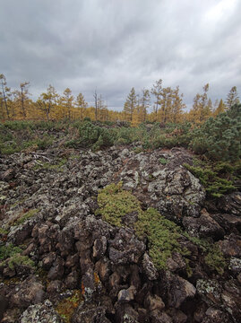 阿尔山火山岩公园