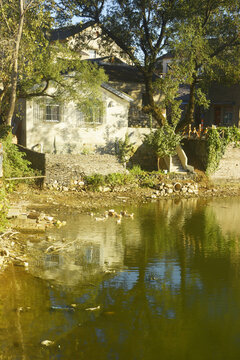 乡村池塘景观