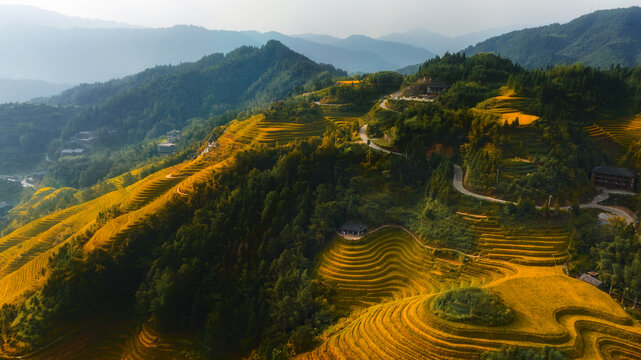 龙脊梯田