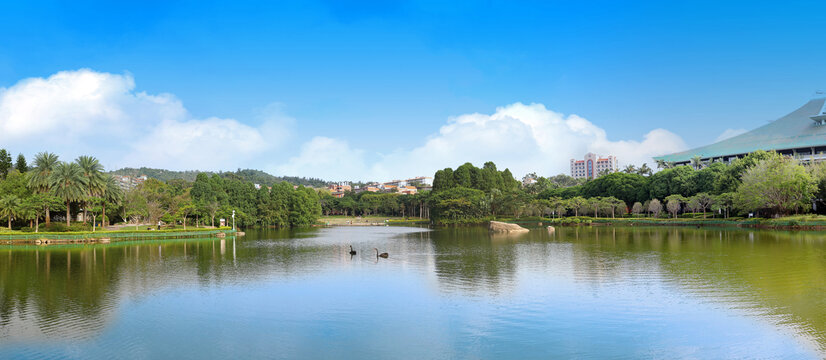 厦大思明校区美景