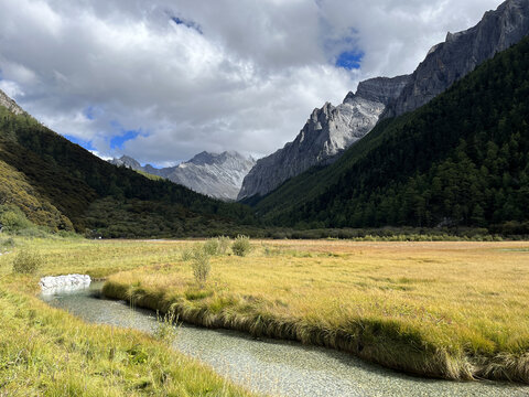 高山草甸溪流