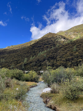 高山草甸溪流