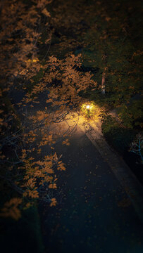 秋夜道路