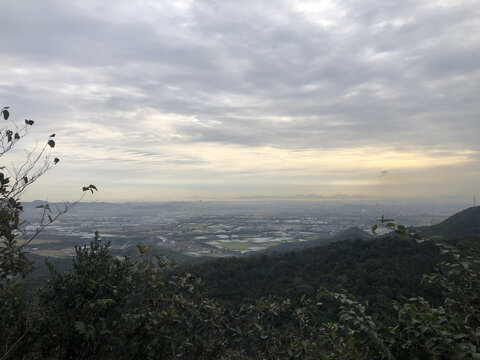 城市