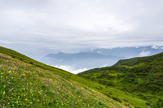 四川汉源轿顶山