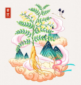 黄芪插画手绘