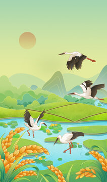 湿地大米手绘插画