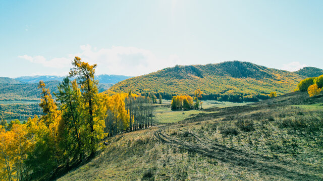 山野间