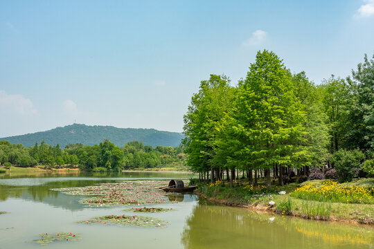 南京东郊燕雀湖