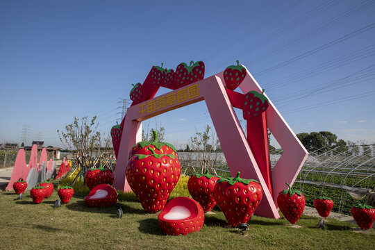红草莓雕塑