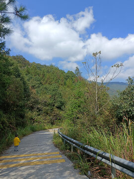 林区道路