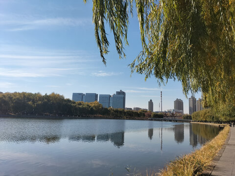 城市风景