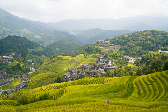 龙脊梯田风光