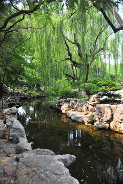 公园绿树流水
