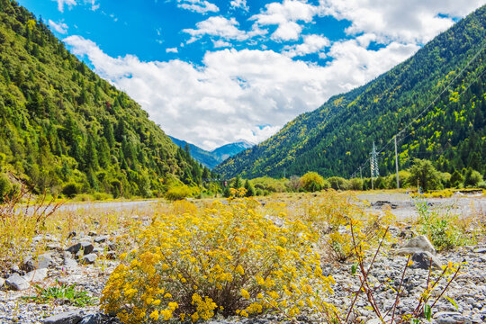 中国广东的山脉和公园绿色美景