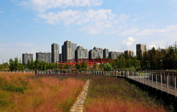 宁波生态长廊