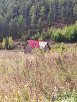 森林中小屋