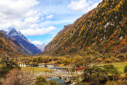 四姑娘山双沟桥