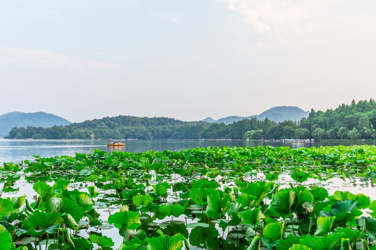 西湖风光