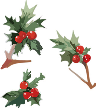手绘风圣诞装饰树叶果实素材
