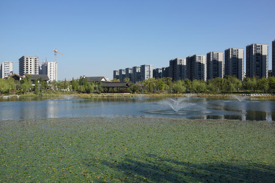 湖泊与楼房