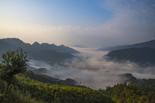 清晨云雾山景