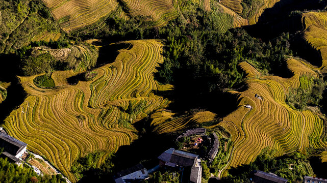 梯田旅游