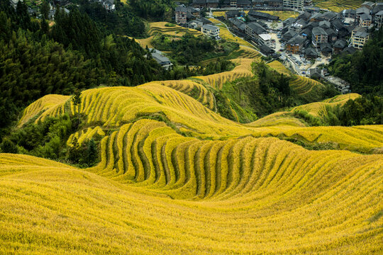 高清梯田照片