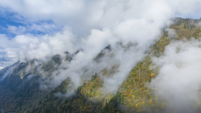 云雾绕山间