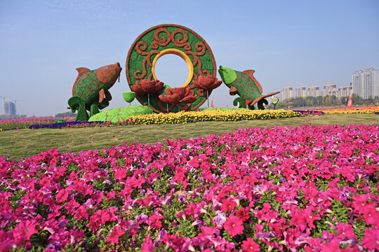 枣庄东湖花卉图案