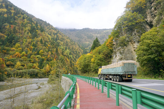 阿坝奶子沟彩林及赏景步道