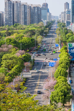 柳州桂中大道