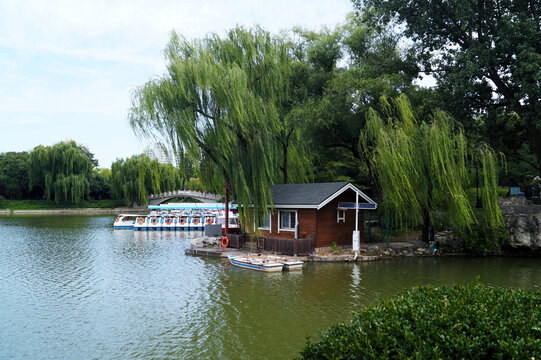 紫竹院湖景