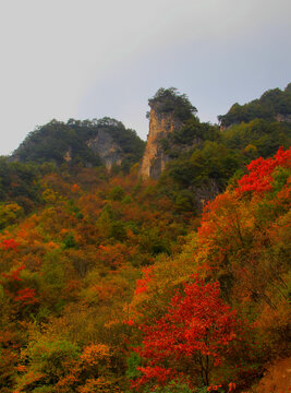 神农架林区