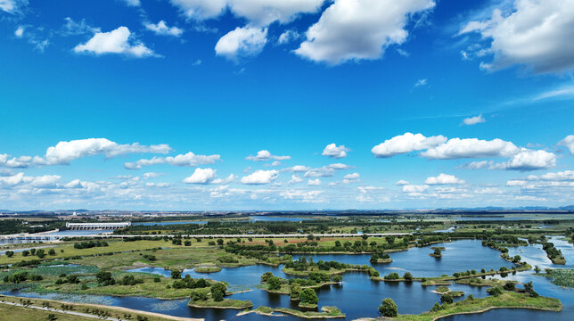 辽河湿地