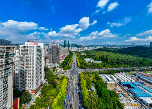 深圳新洲大道