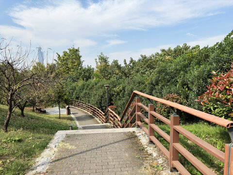 山路栏杆