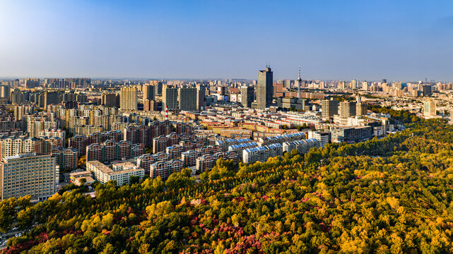 秋季的中国长春市城区风景